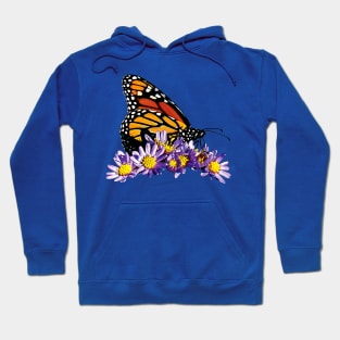 Monarch Butterfly on Purple Asters Hoodie